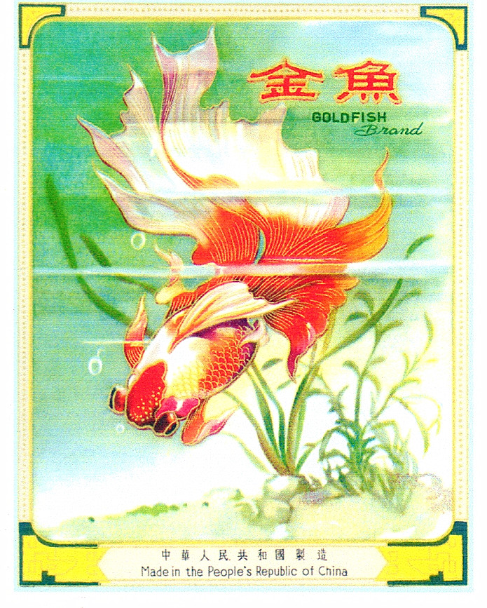 金鱼