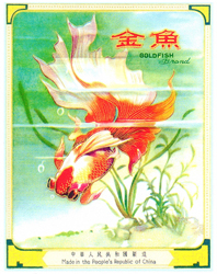 金鱼