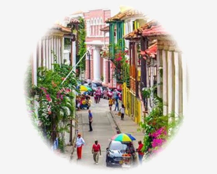South American Market  